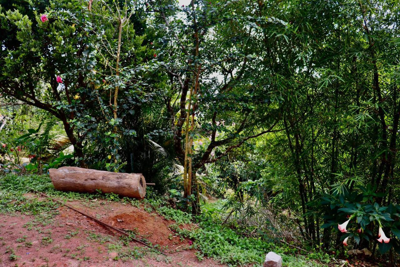 Coorg Nature Breeze Home Stay Madikeri Dış mekan fotoğraf